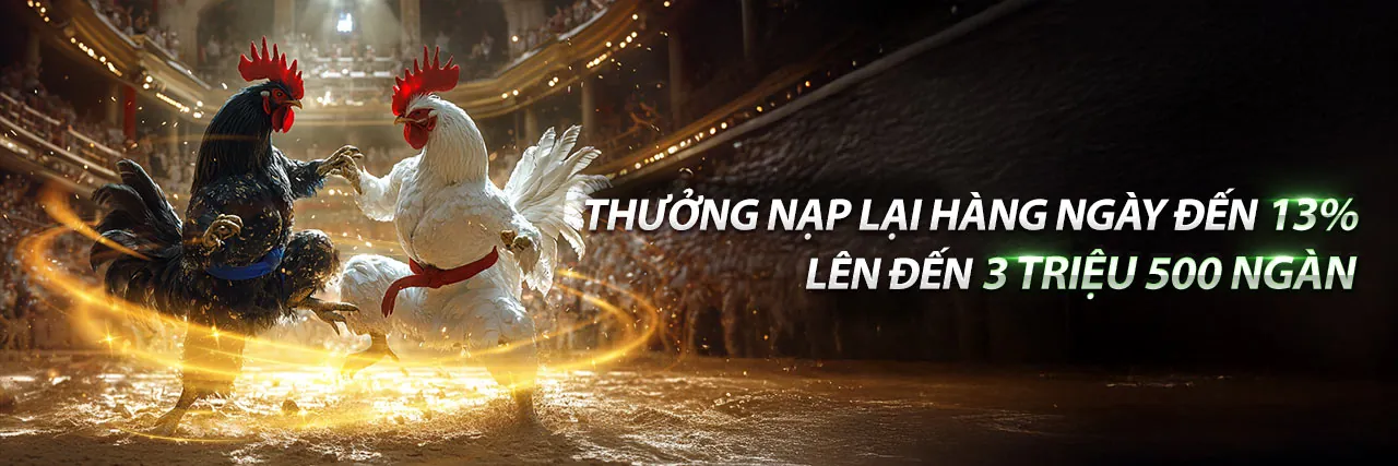 Hình ảnh Điều Khoản Dịch Vụ Kingbet86pro