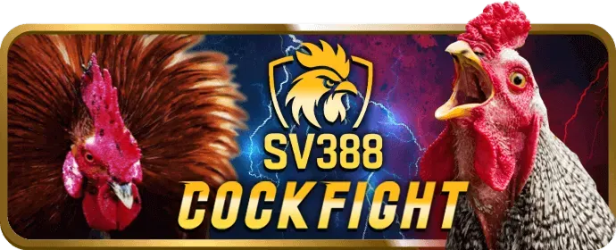 Biểu tượng quyền của người dùng về dữ liệu tại kingbet86pro trang chủ